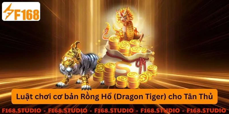 Luật chơi cơ bản rồng hổ cho tân thủ